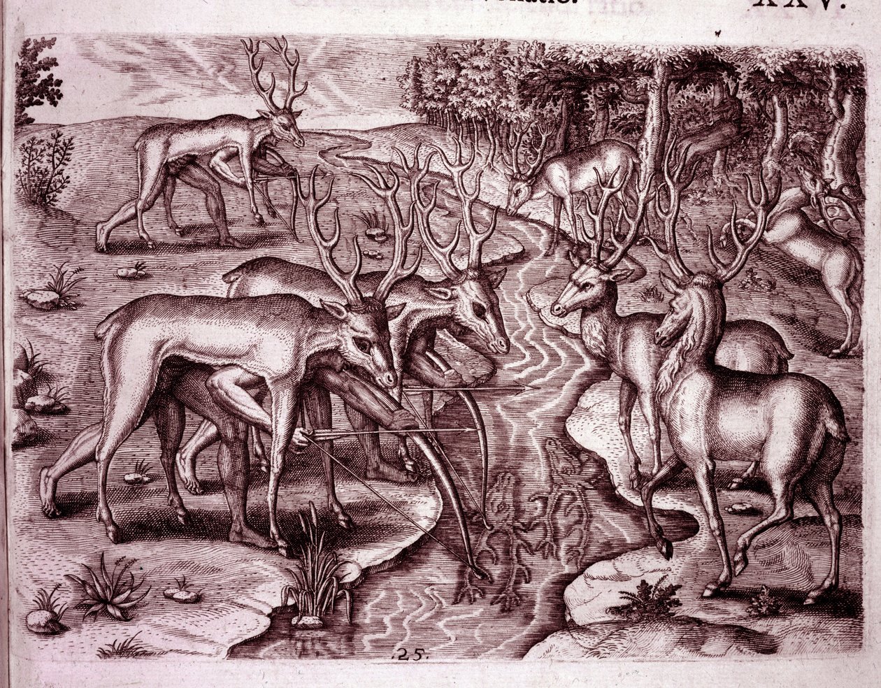 Indians Using Deer Skins to Hunt Other Deer by Theodore de Bry