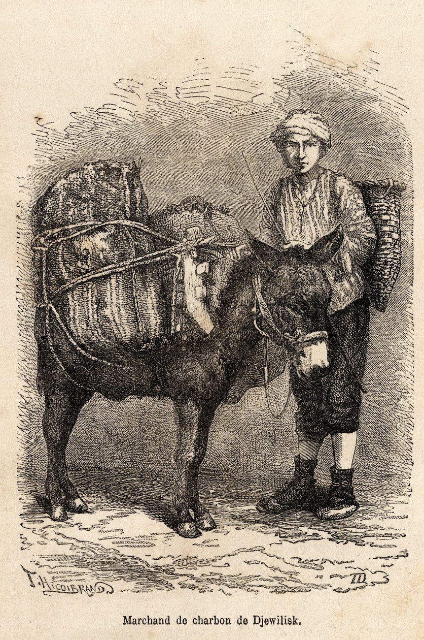 A Coal Merchant in Djewilisk (Northern Anatolia) by Theophile Louis Deyrolle