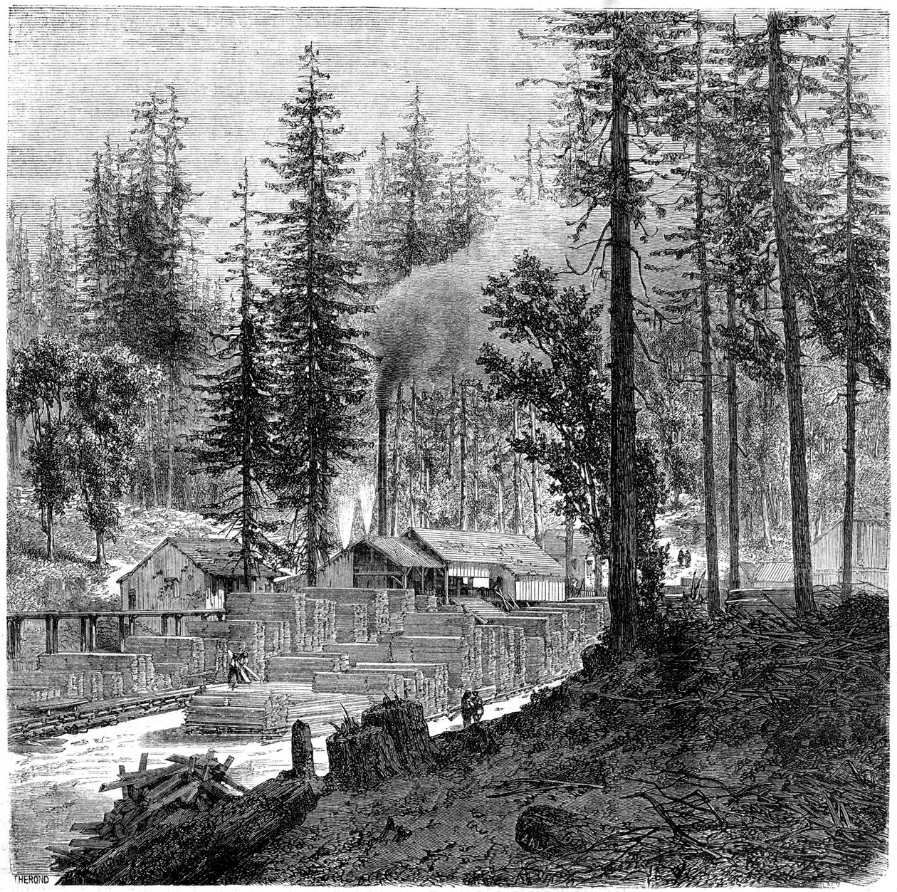 Sawmill, California by Theroud