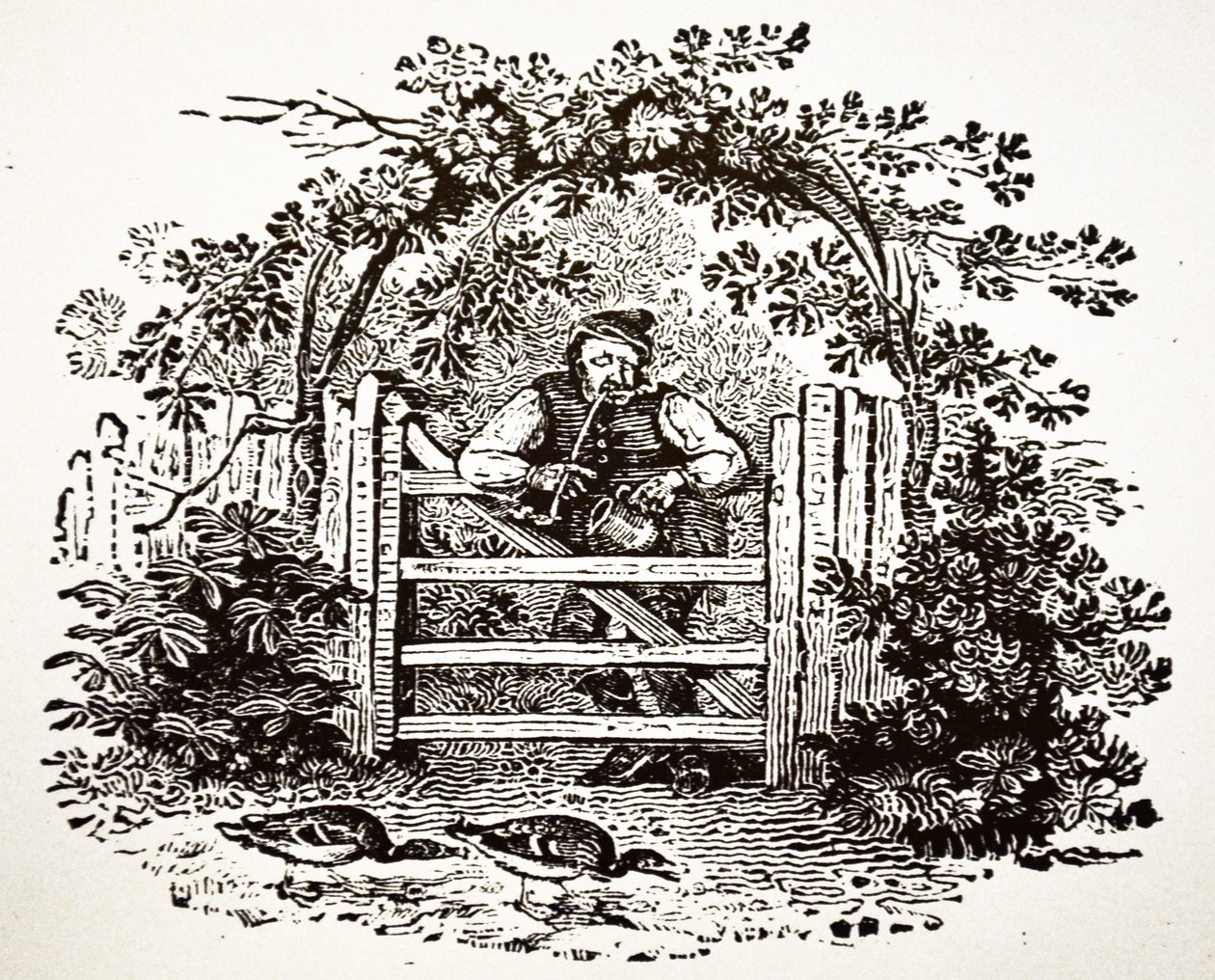 Countryman Smoking a Churchwarden by Thomas Bewick
