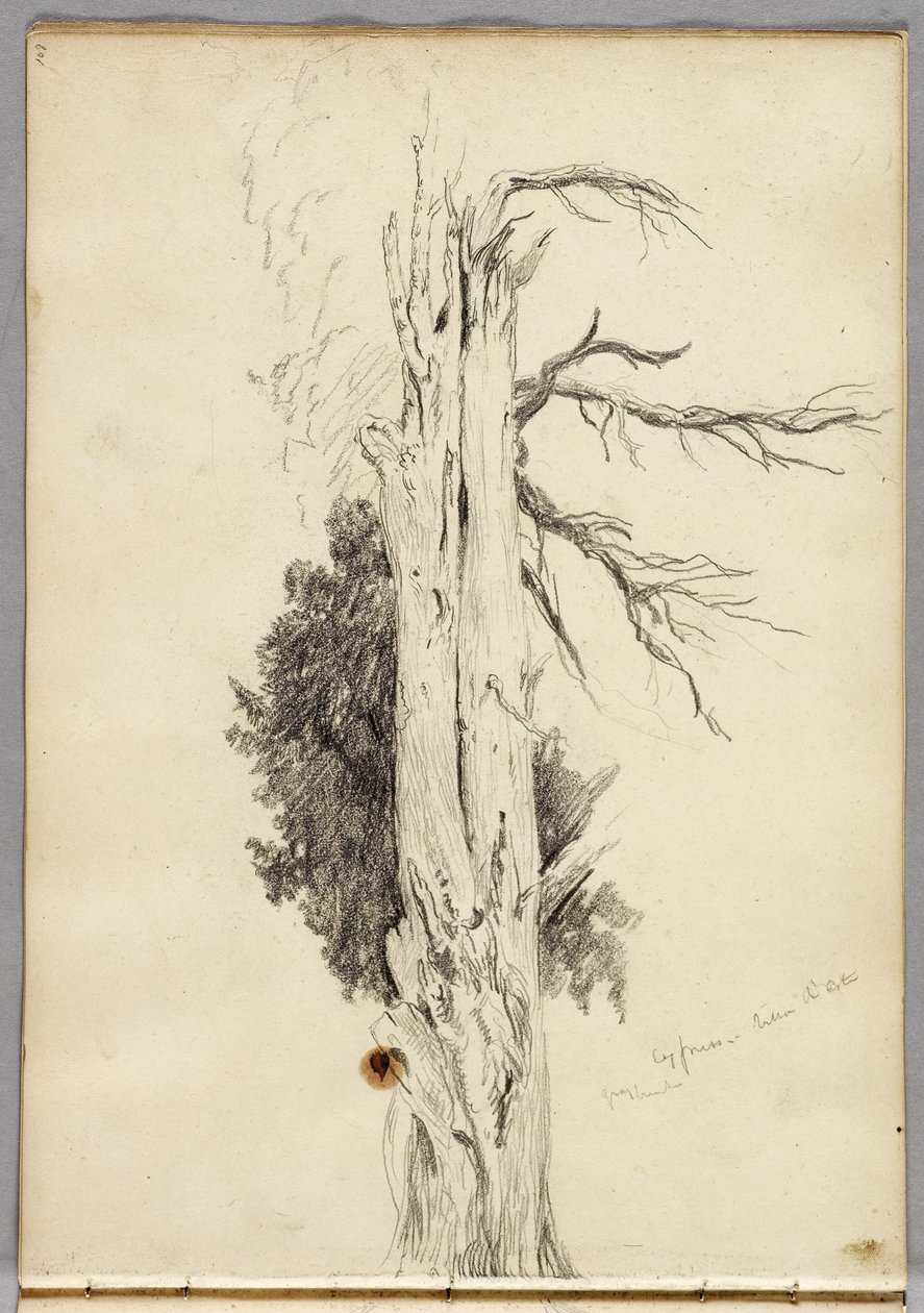 Cypress, Villa d