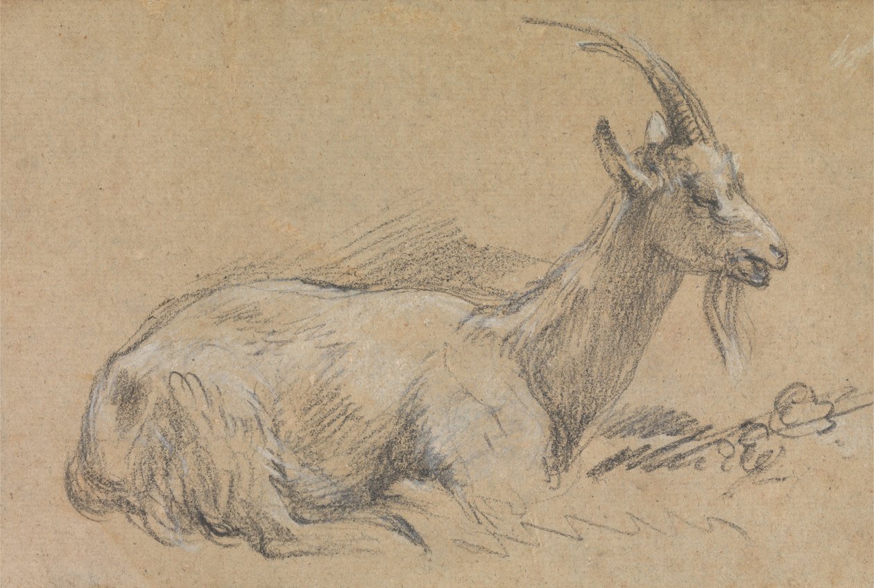 Study of a Goat by Thomas Gainsborough