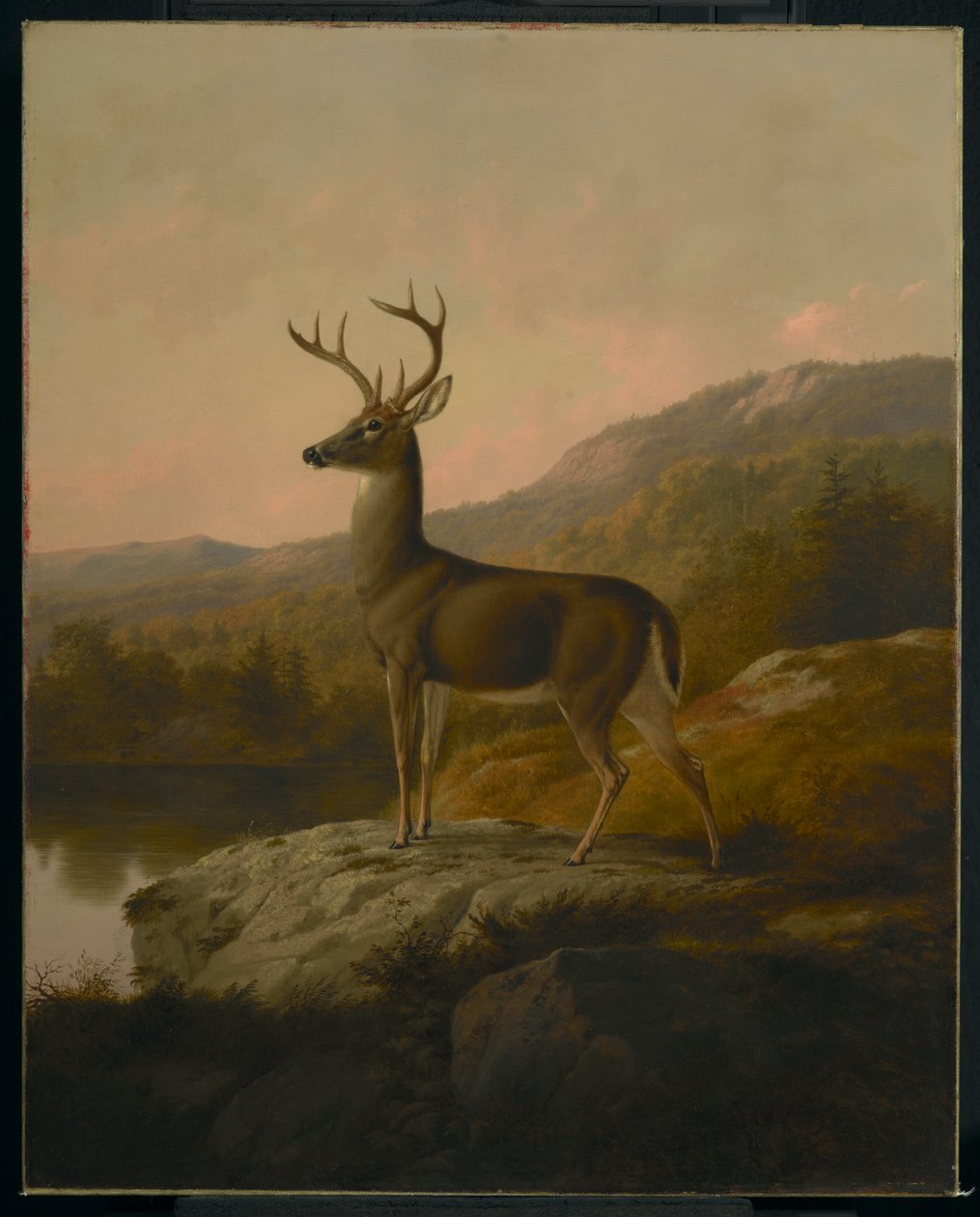 Deer, 1855 by Thomas Hewes Hinckley