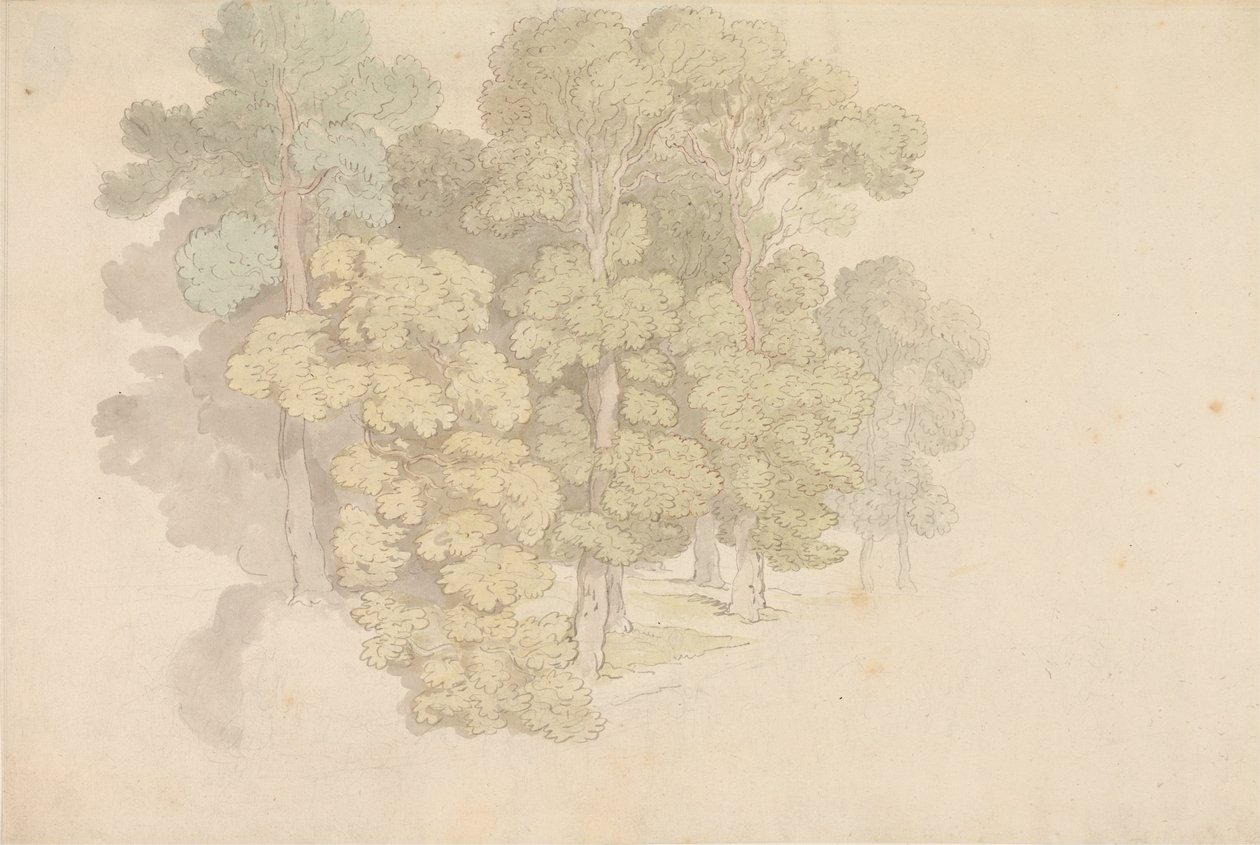 A Group of Trees by Thomas Rowlandson