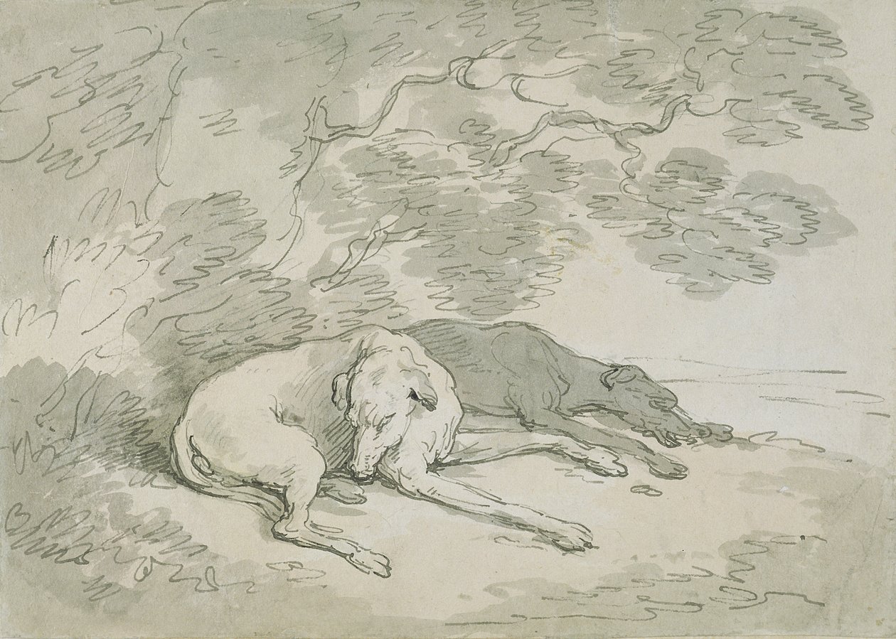 Greyhounds Asleep by Thomas Rowlandson