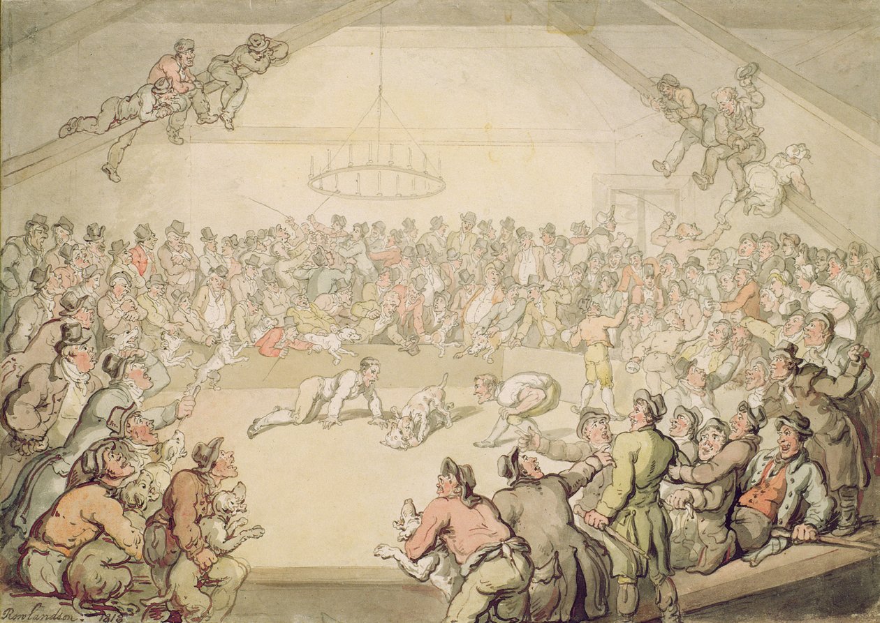 The Dog Fight by Thomas Rowlandson