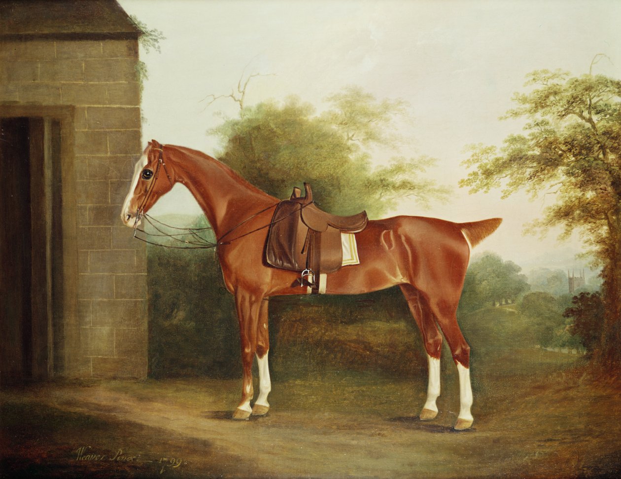 Horse with Side Saddle by Thomas Weaver
