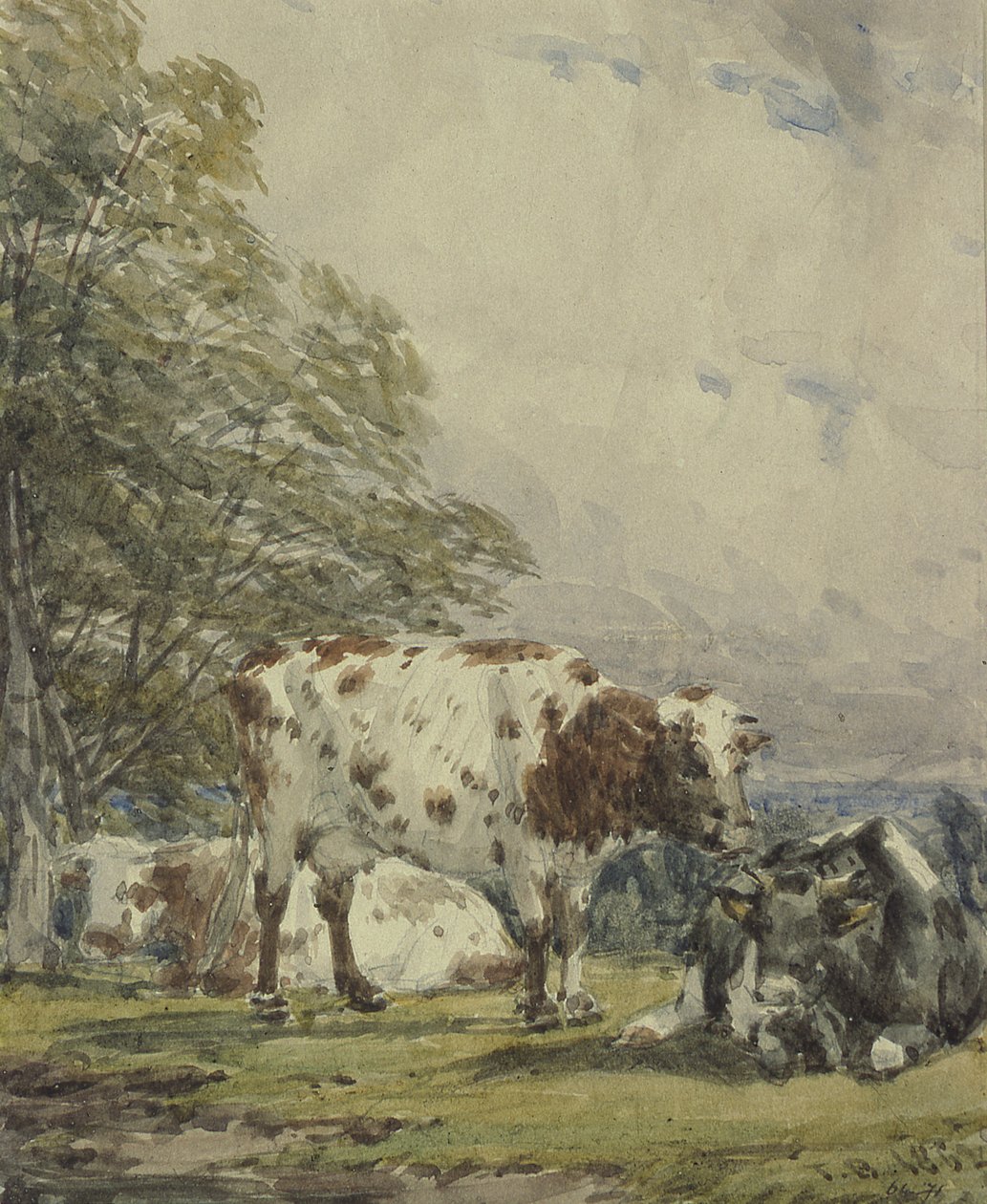 A Study of Cattle by Thomas Baker