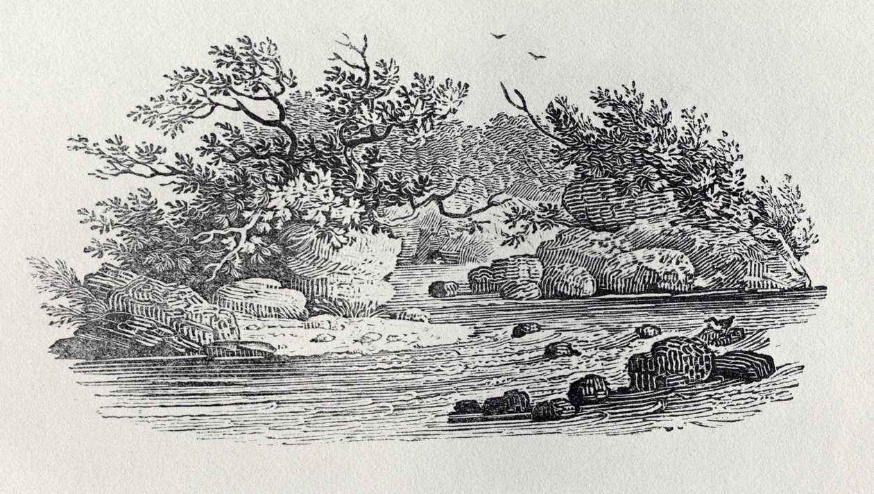 A Bend in the River from 