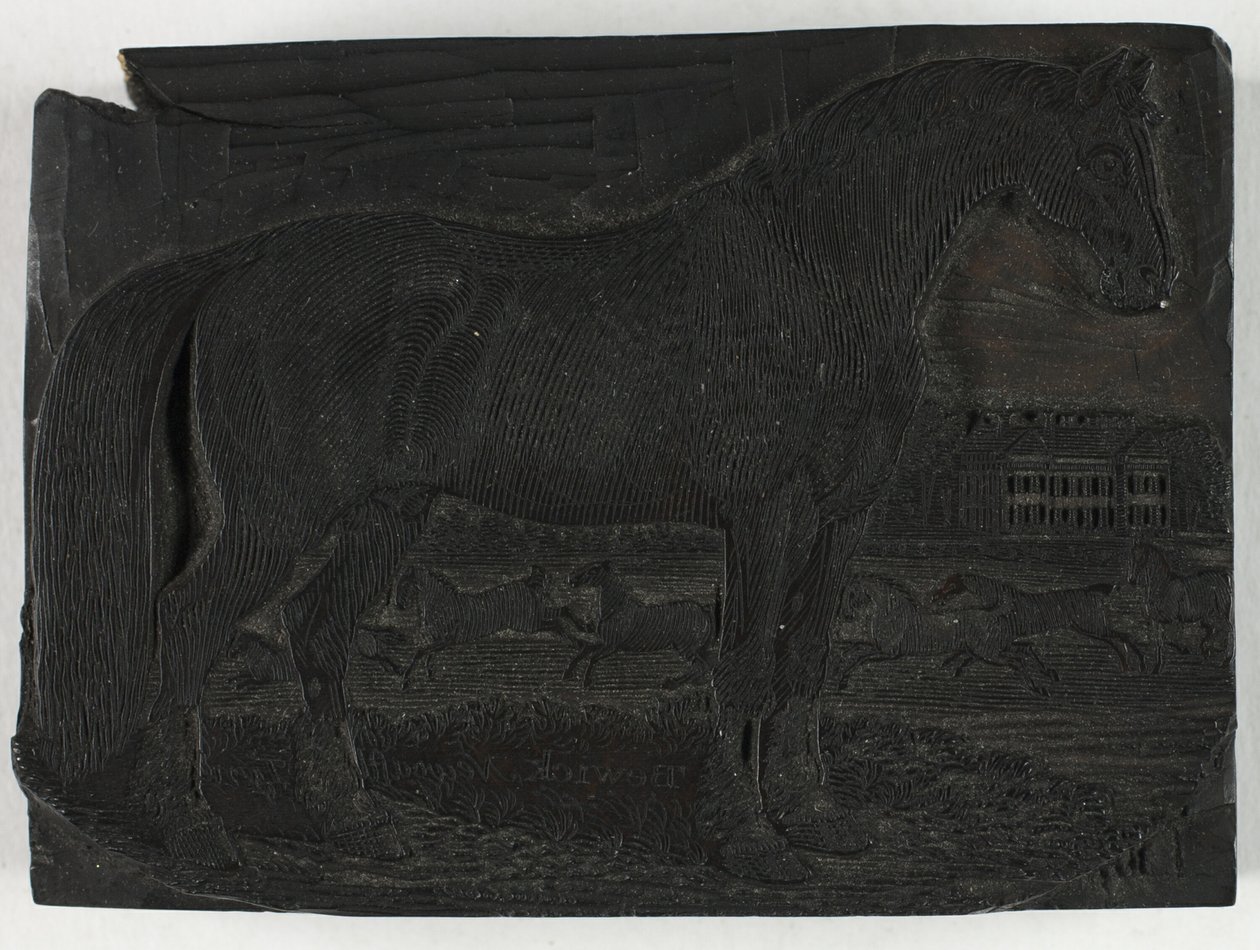 Woodblock for The Black Horse, from a General History of Quadrupeds by Thomas Bewick