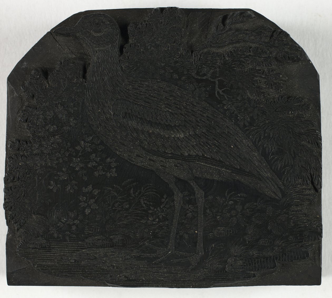 Woodblock for The Great Plover, from A History of British Birds by Thomas Bewick