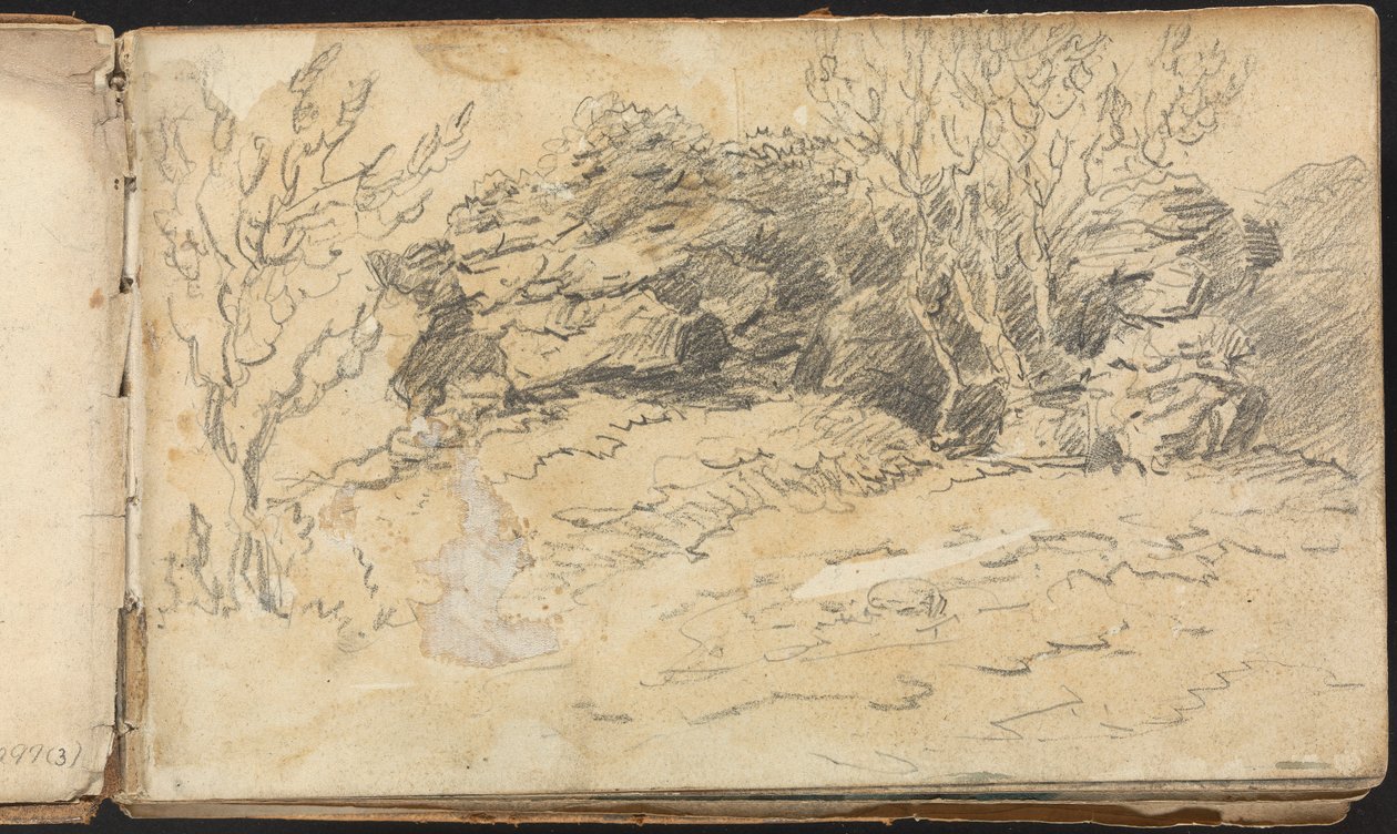 Album of Landscape and Figure Studies: Sketch of Trees and Rocks by Thomas Bradshaw