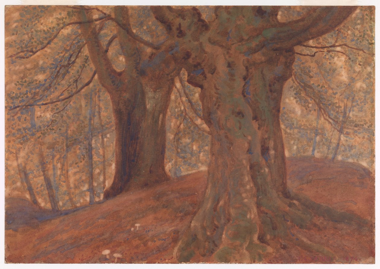 Burnham Beeches by Thomas Charles Farrer