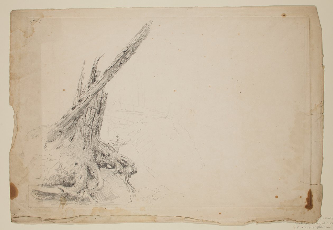 Broken Trunk of a Tree by Thomas Cole