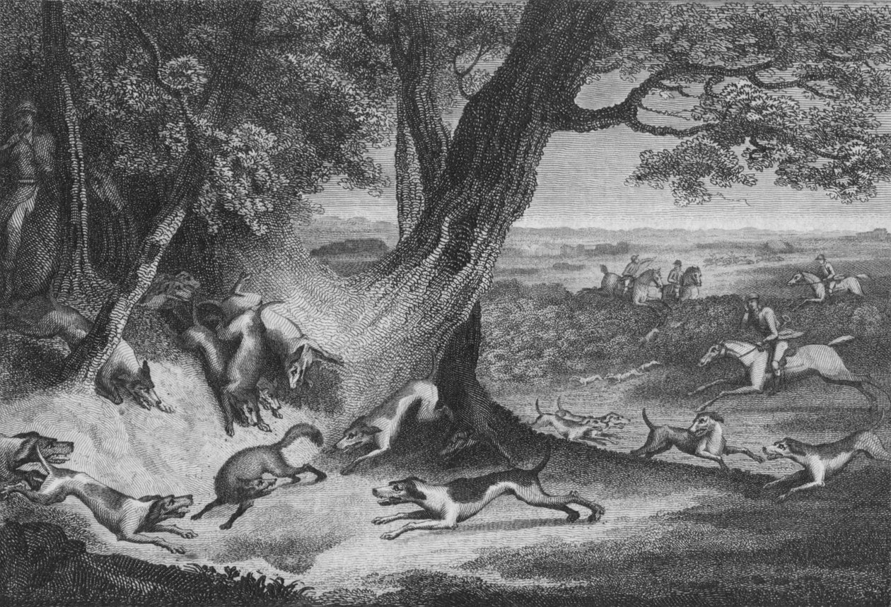 Death of the Fox by Thomas Cook