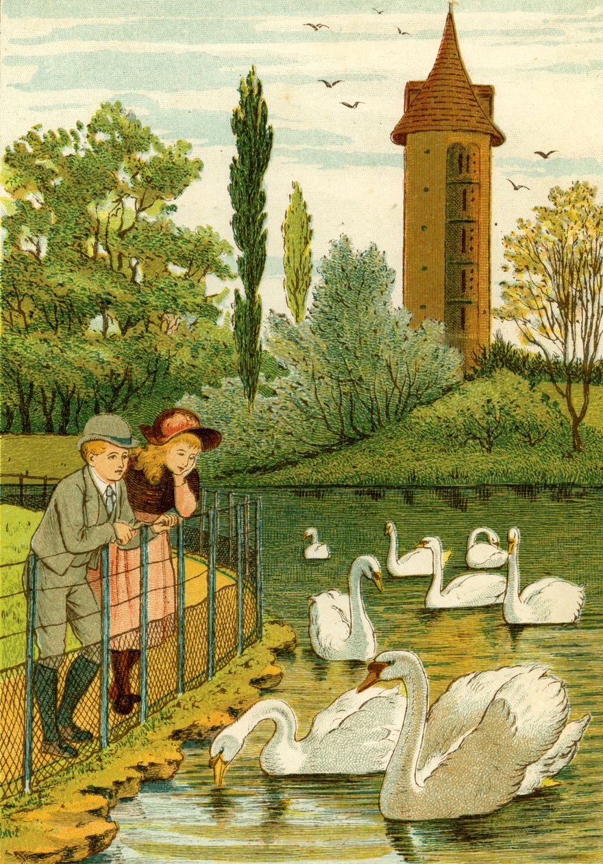Paris Zoo - children watching swans by Thomas Crane