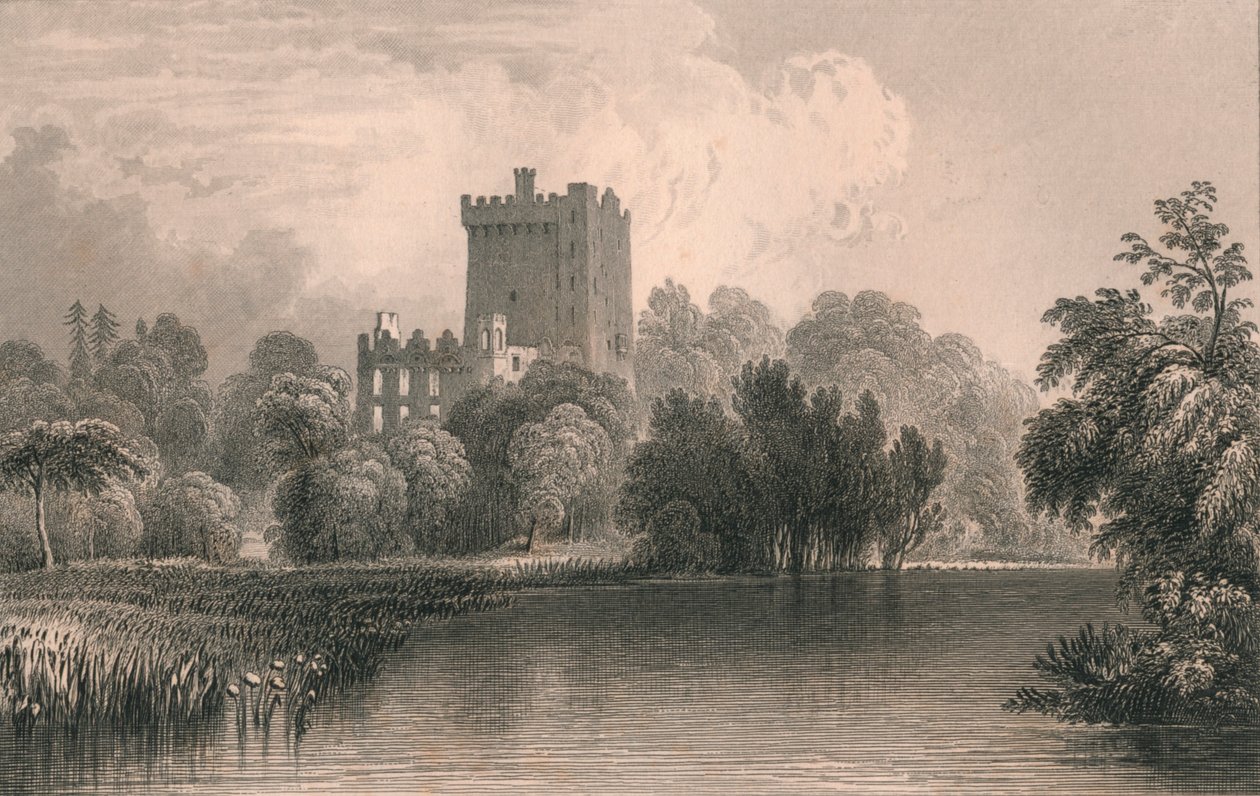 Blarney Castle, Co. Cork by Thomas Dixon