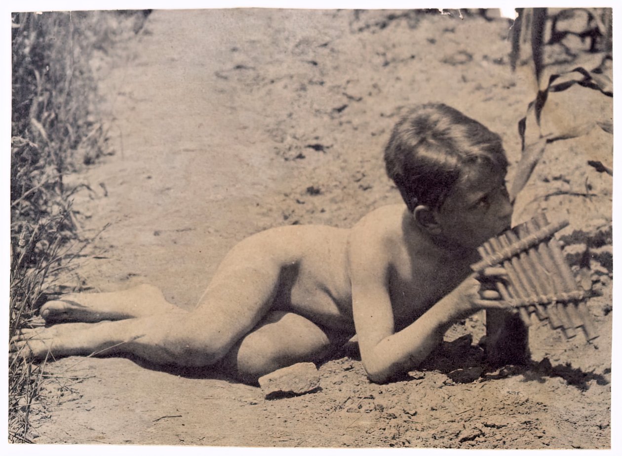 Study for Arcadia, c. 1883 by Thomas Eakins
