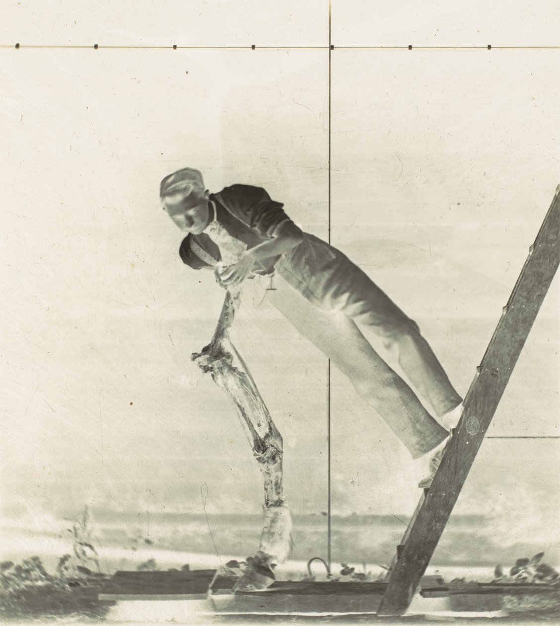 Man on a Ladder with Dissected Horse