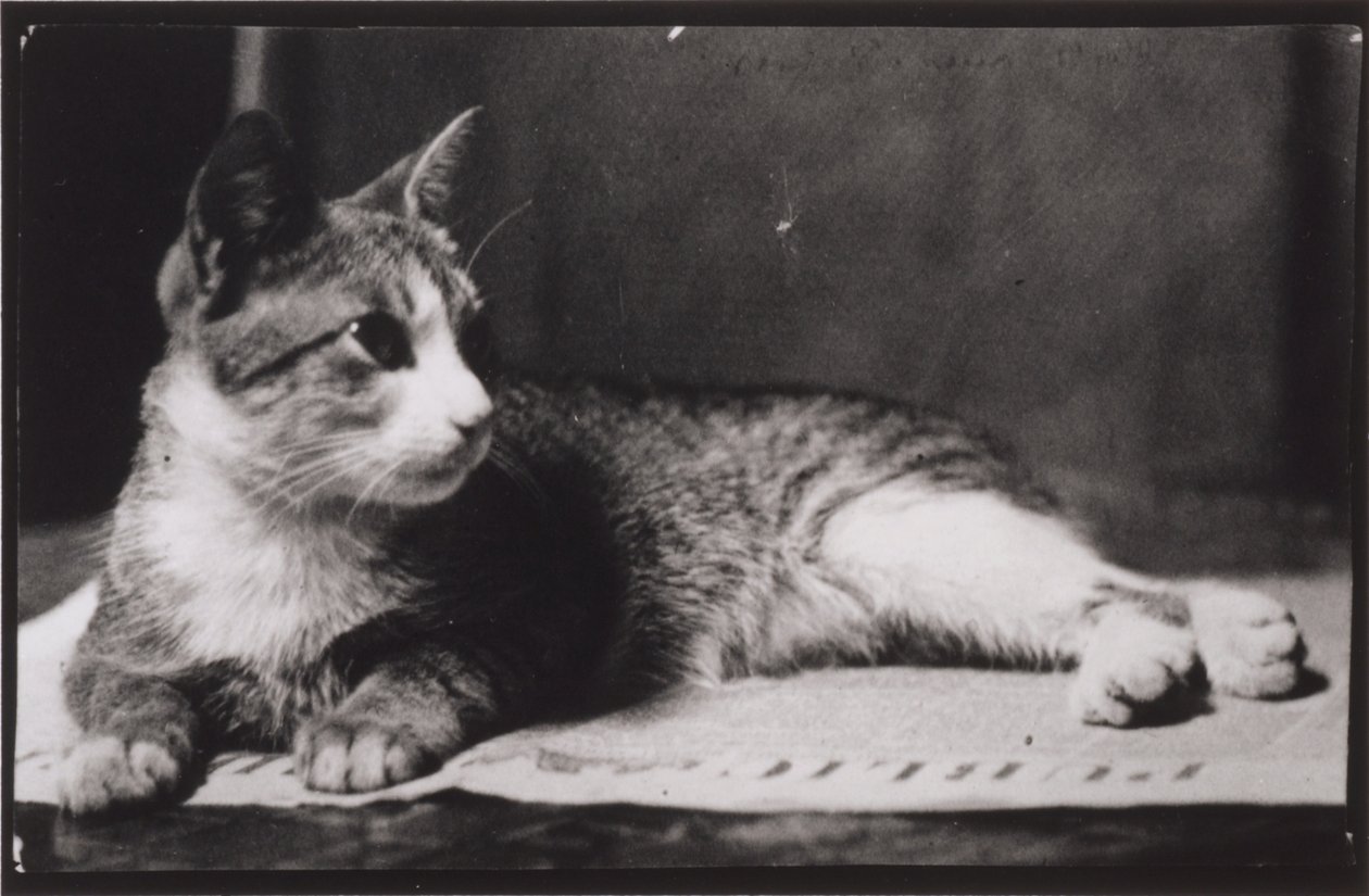 Mrs. Thomas Eakins