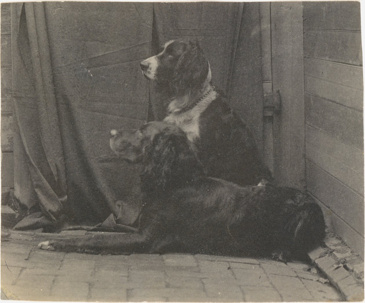 Thomas Eakins