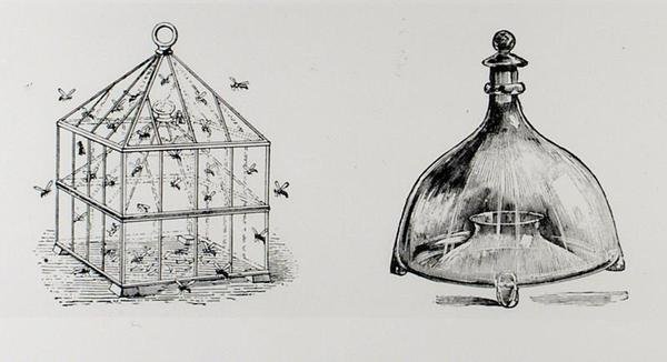 Wasp and Fly Traps, from Thomas Mawson