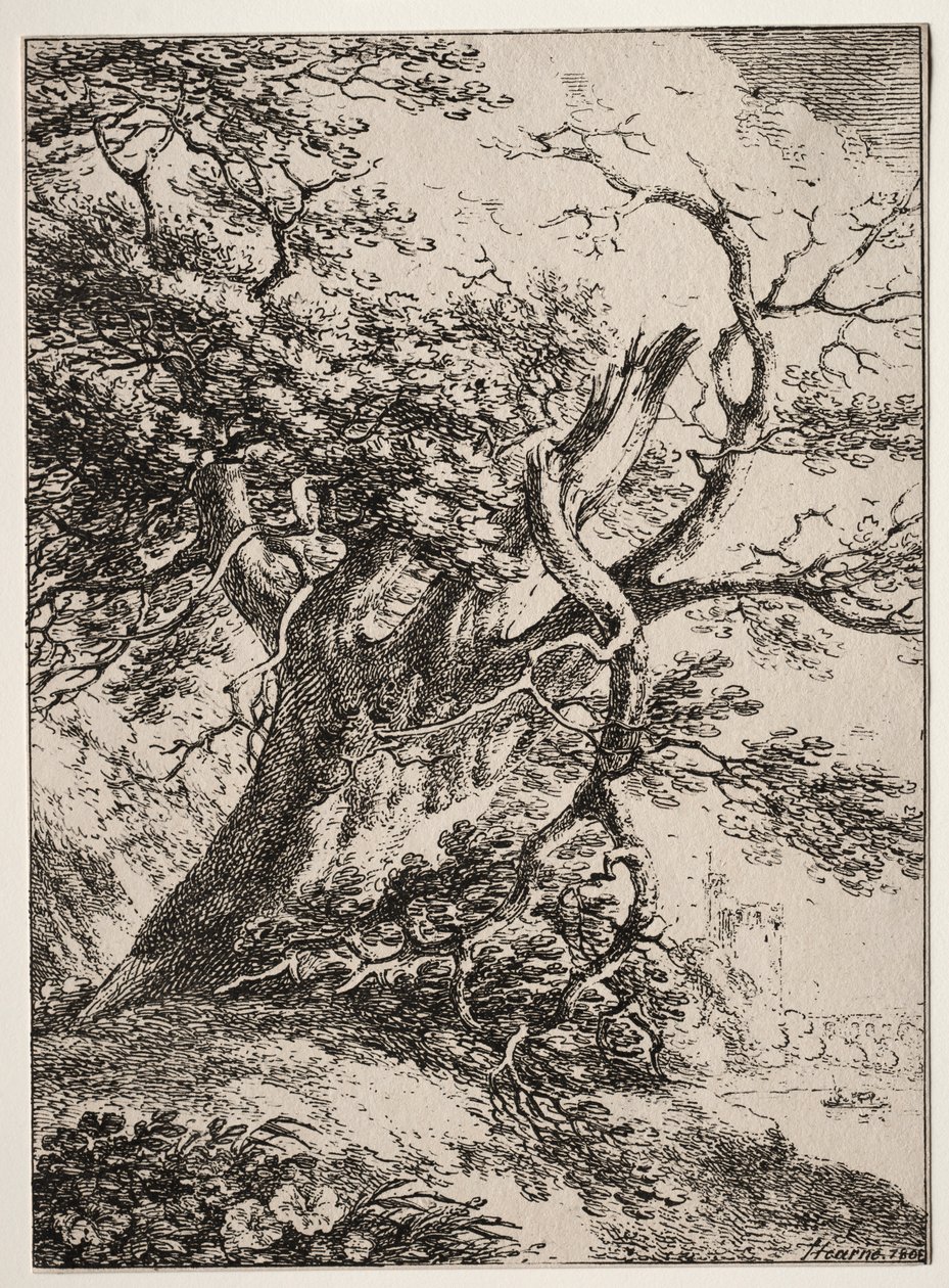 Specimens of Polyautography: Landscape with an Oak Tree by Thomas Hearne