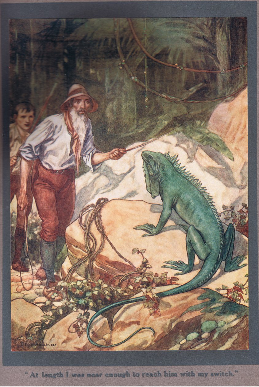 At Length I Was Near Enough to Reach Him with My Switch by Thomas Heath Robinson