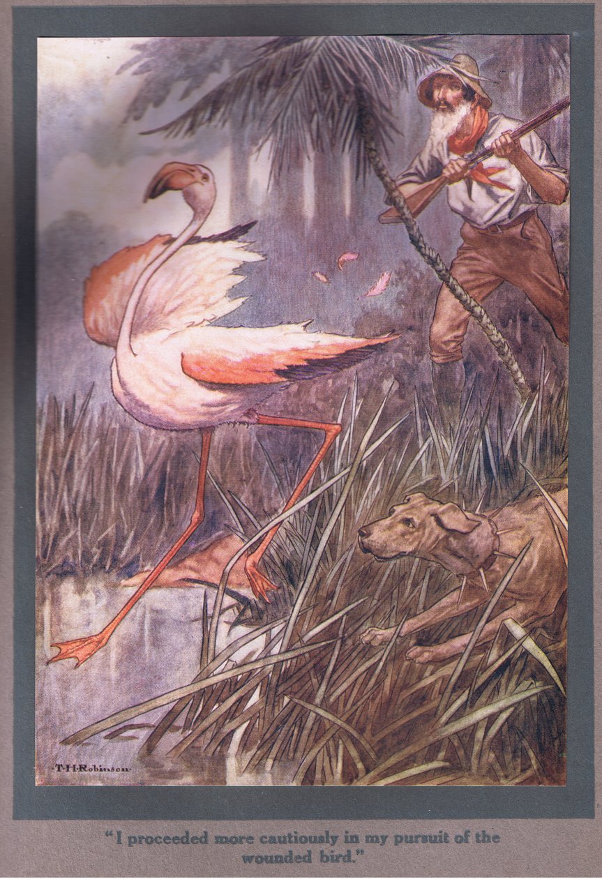 I Proceeded More Cautiously in My Pursuit of the Wounded Bird by Thomas Heath Robinson