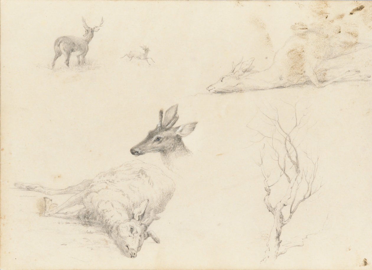 Sketchbook of Landscape and Animal Subjects, 1860-64 by Thomas Hewes Hinckley