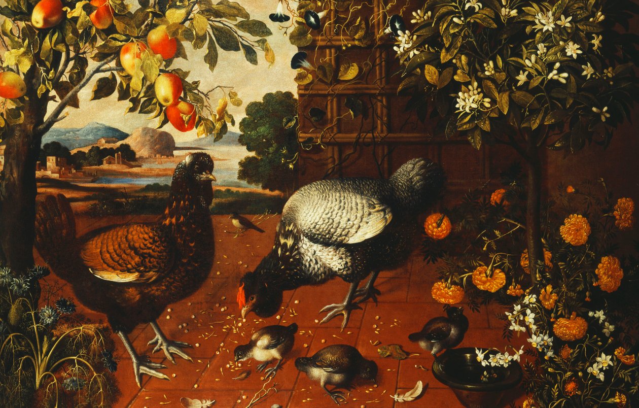 A Cock, a Hen and Chicks in a Yard by Thomas Hiepes