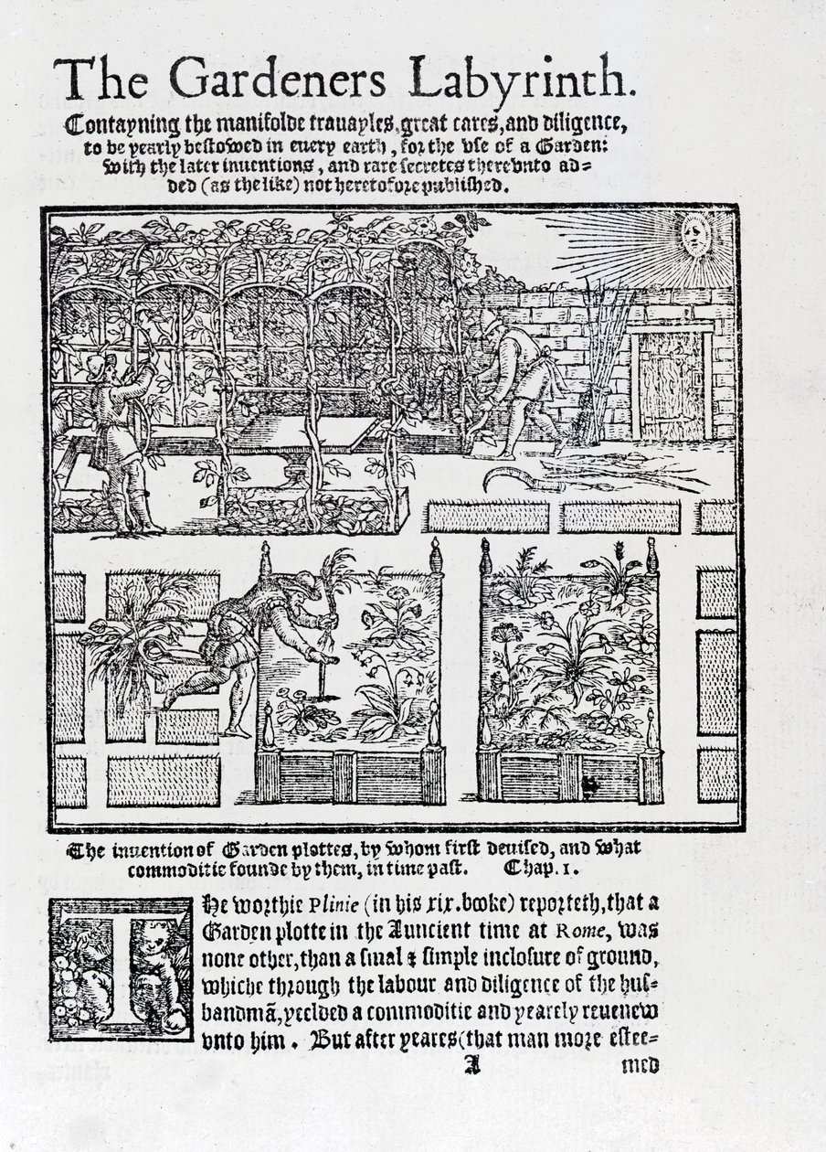 Arbour built as a shade against the sun and planting in raised beds, from The Gardeners Labyrinth, 1577 by Thomas Hill