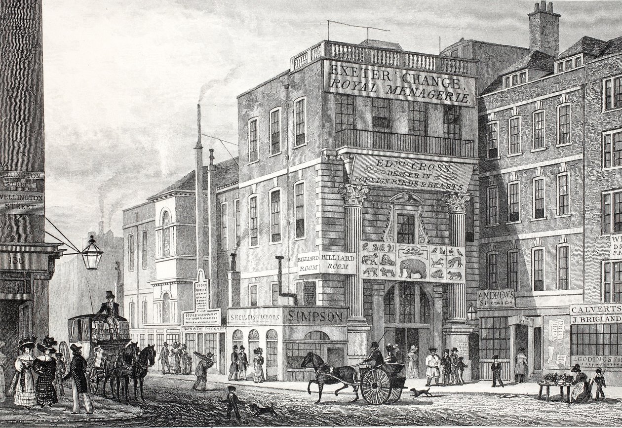 Exeter Change, Strand, from 