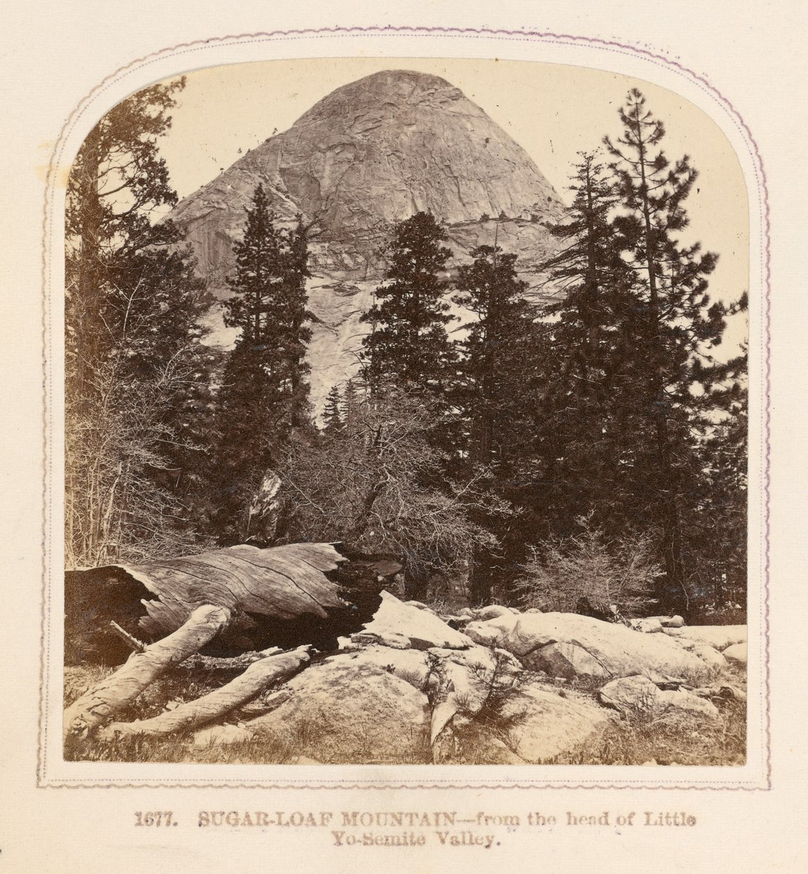 Sugar-Loaf Mountain - from the head of Little Yosemite Valley by Thomas Houseworth