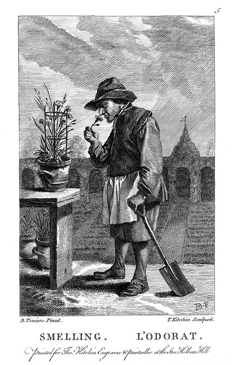 Gardener Smelling a Carnation by Thomas Kitchin