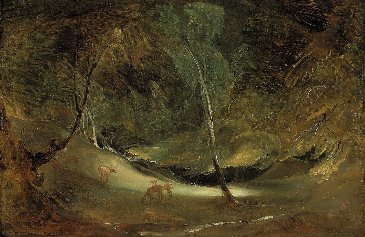 The Source of the Manifold at Ilam Park by Thomas Lawrence
