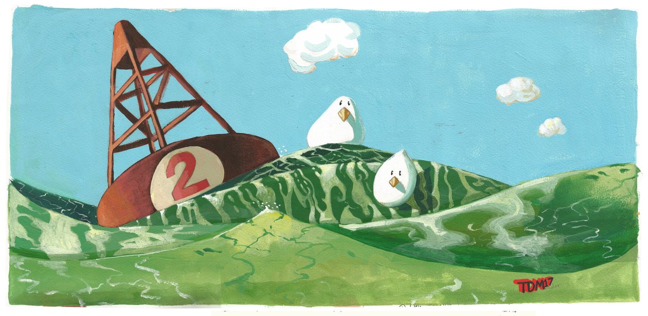 Birds Buoy Swell by Thomas MacGregor