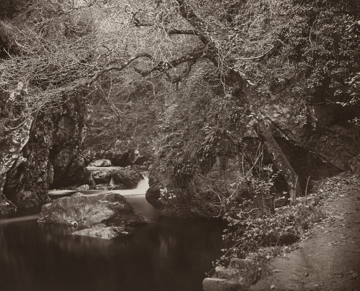 The Dargle Hole by Thomas Marcus Brownrigg