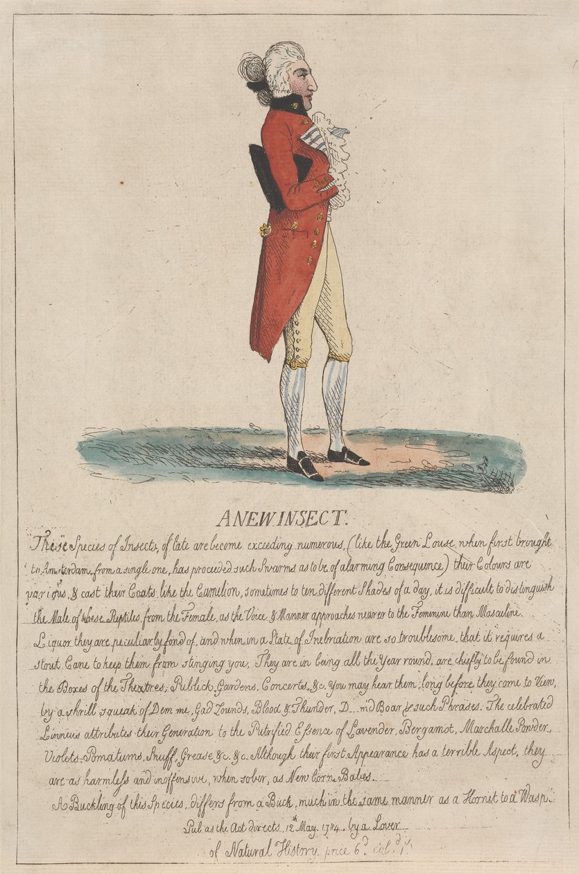 A New Insect by Thomas Rowlandson