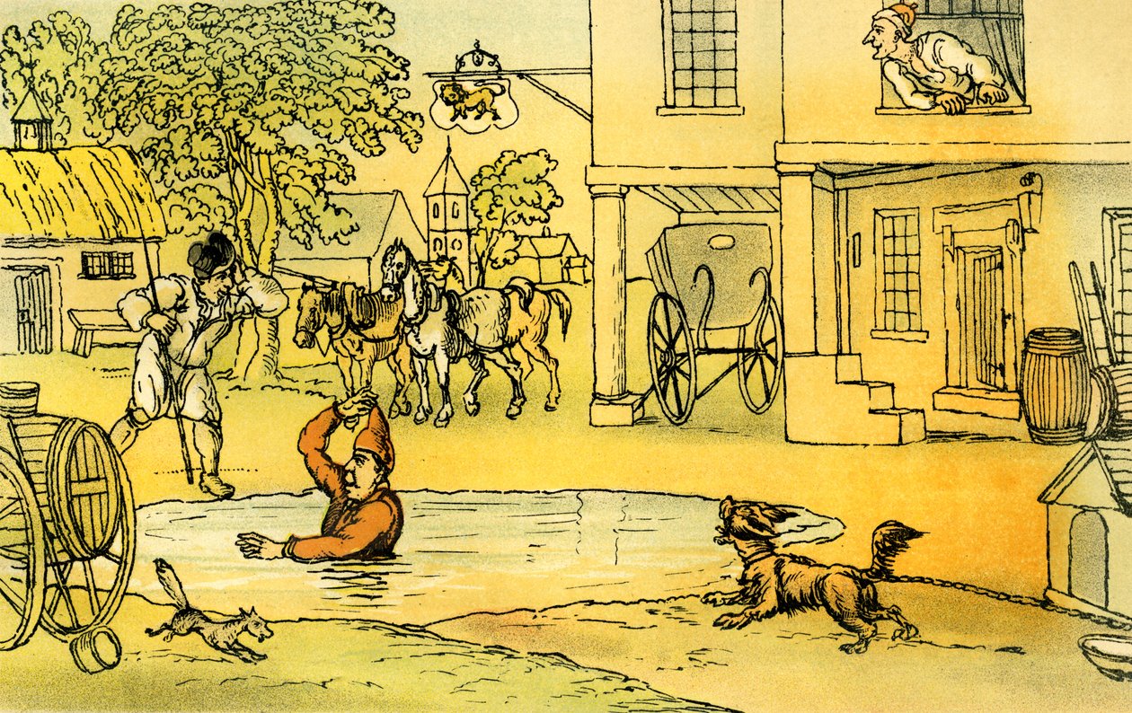 Dr Syntax amused with Pat in the pond by Thomas Rowlandson