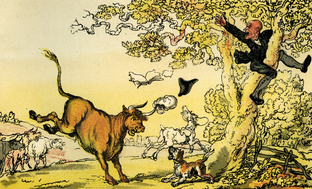 Dr Syntax pursued by a bull by Thomas Rowlandson