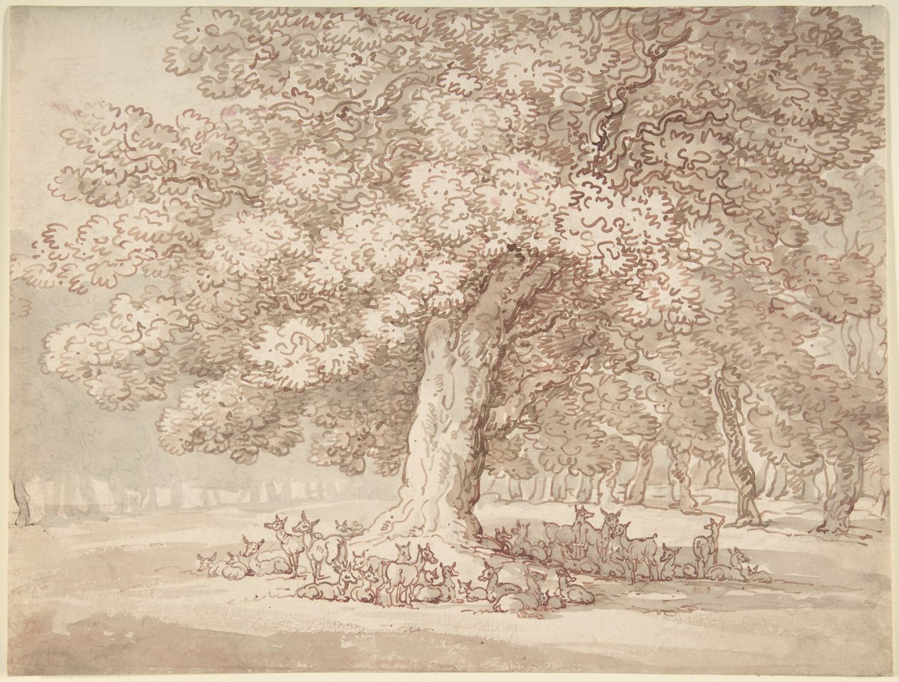 Herd of Deer Under an Oak Tree by Thomas Rowlandson
