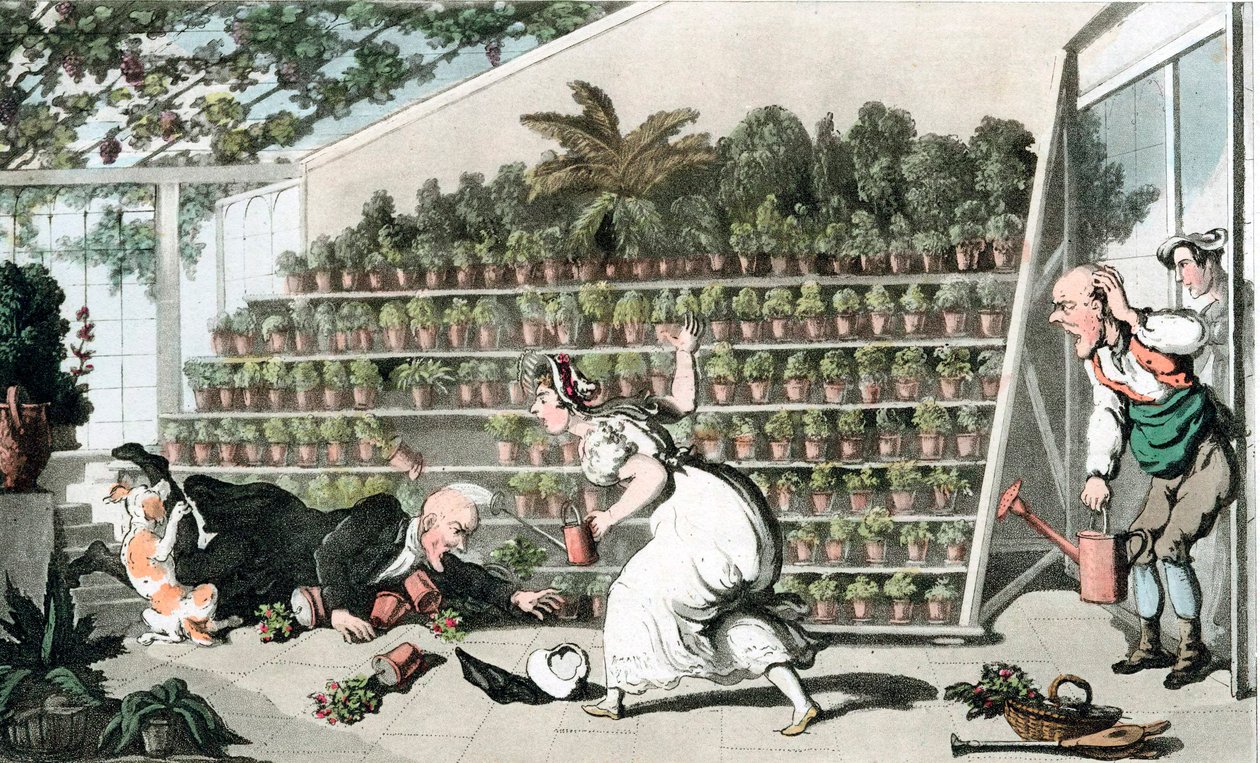 Misfortune in the Tulip Hall by Thomas Rowlandson