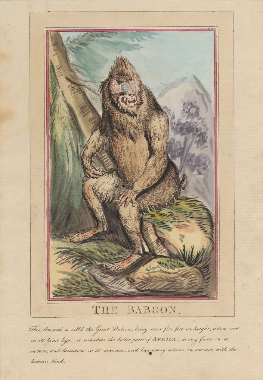 Set of Eight with Title-Page. 