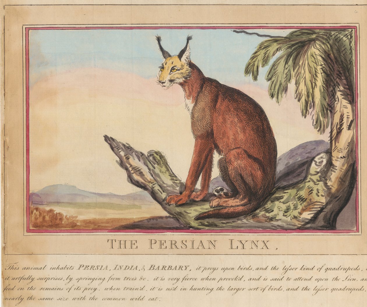 Set of eight with title-page. 