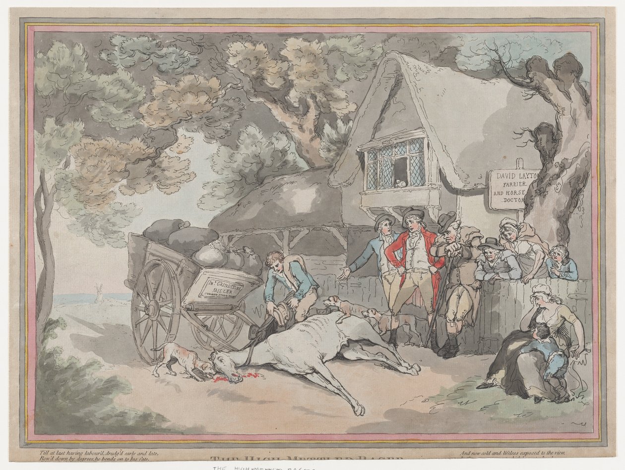 The Cart Horse from The Life of a Racehorse, or The High-Mettled Racer by Thomas Rowlandson