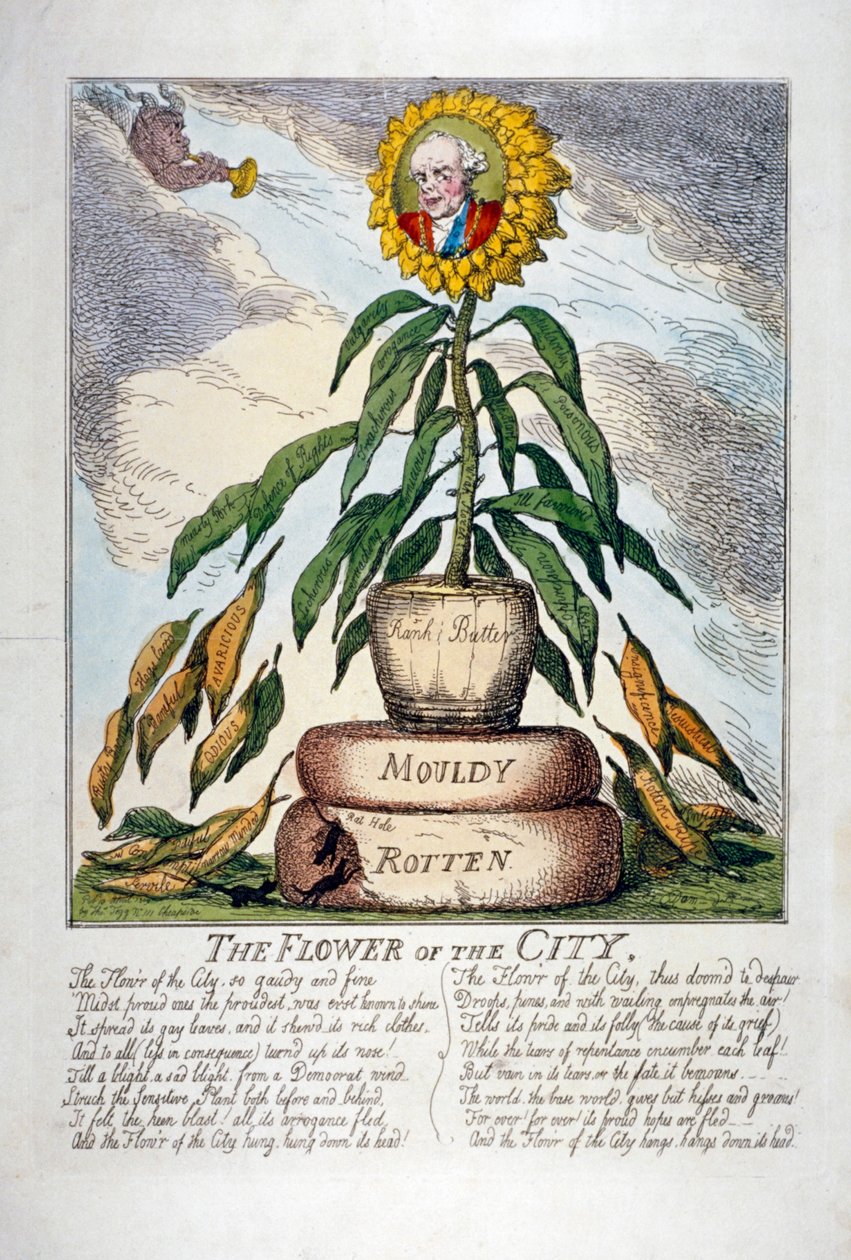 The Flower of the City, 1809 by Thomas Rowlandson