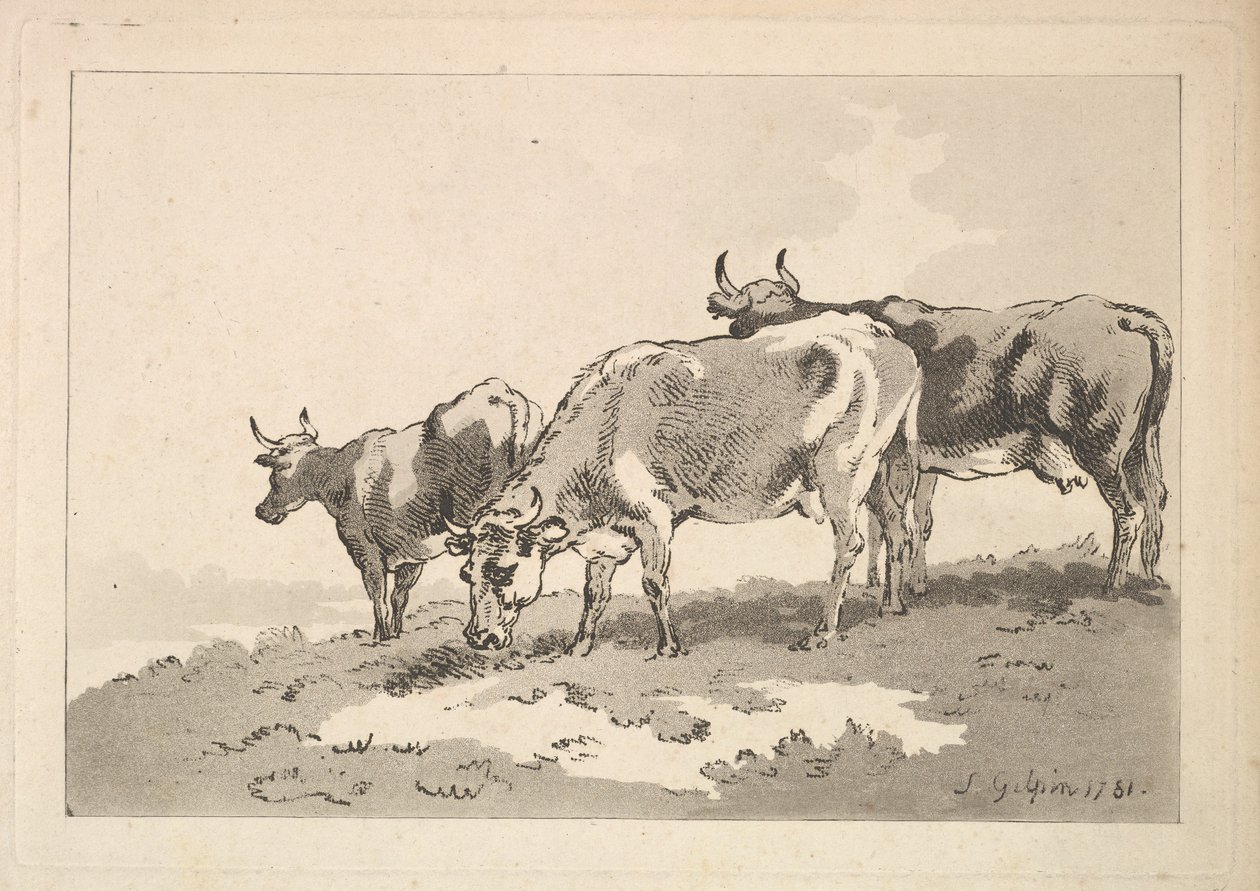 Three Cows Standing on the Ridge of a Field by Thomas Rowlandson