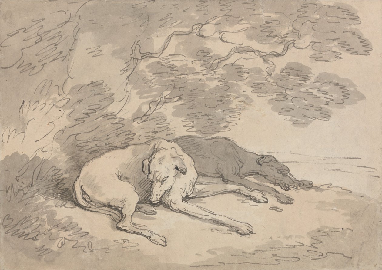 Two Greyhounds Lying under a Tree by Thomas Rowlandson