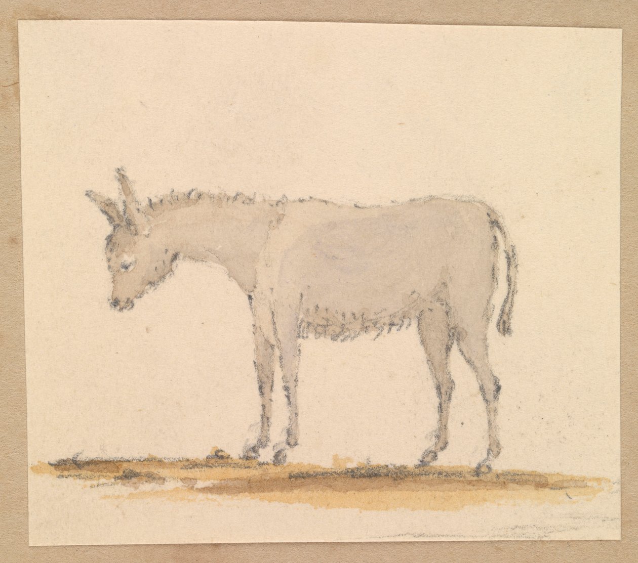 Study of a Donkey, c.1820 by Thomas Streatfeild